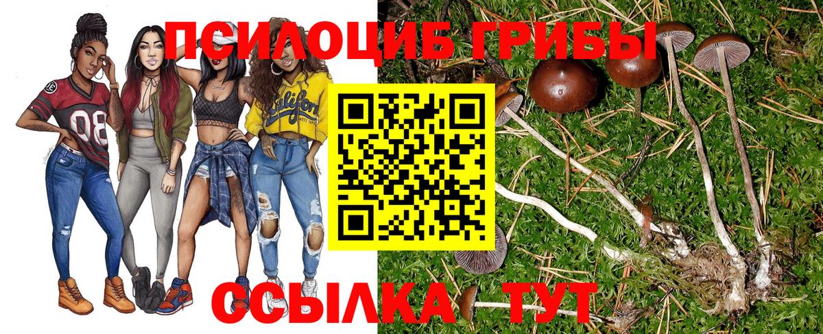 Галлюциногенные грибы Cubensis Гусев