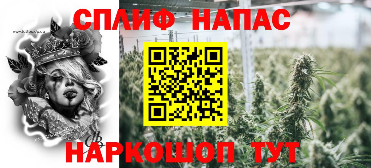 Бошки марихуана планчик Гусев